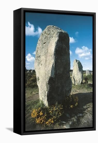 France, Brittany, Surroundings of Carnac, Prehistoric Megalithic Stone Alignments, Menhir-null-Framed Stretched Canvas