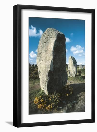 France, Brittany, Surroundings of Carnac, Prehistoric Megalithic Stone Alignments, Menhir-null-Framed Giclee Print