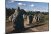 France, Brittany, Surroundings of Carnac, Prehistoric Megalithic Stone Alignments, Menhir-null-Mounted Giclee Print