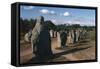 France, Brittany, Surroundings of Carnac, Prehistoric Megalithic Stone Alignments, Menhir-null-Framed Stretched Canvas