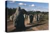 France, Brittany, Surroundings of Carnac, Prehistoric Megalithic Stone Alignments, Menhir-null-Stretched Canvas