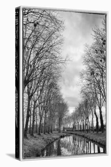 France, Burgundy, Nievre. Trees with Bird Nests on the Nivernais Canal-Kevin Oke-Stretched Canvas