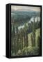 Canvas Black