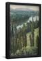 Essential Black