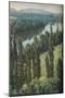 Wood Mount