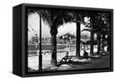 Canvas Black