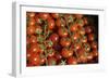 France, Centre, Chatillon Sur Loire. Fresh Vine Tomatoes at Market-Kevin Oke-Framed Photographic Print