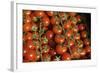 France, Centre, Chatillon Sur Loire. Fresh Vine Tomatoes at Market-Kevin Oke-Framed Photographic Print