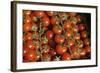 France, Centre, Chatillon Sur Loire. Fresh Vine Tomatoes at Market-Kevin Oke-Framed Photographic Print