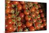 France, Centre, Chatillon Sur Loire. Fresh Vine Tomatoes at Market-Kevin Oke-Mounted Photographic Print