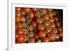 France, Centre, Chatillon Sur Loire. Fresh Vine Tomatoes at Market-Kevin Oke-Framed Photographic Print