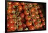 France, Centre, Chatillon Sur Loire. Fresh Vine Tomatoes at Market-Kevin Oke-Framed Photographic Print