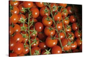 France, Centre, Chatillon Sur Loire. Fresh Vine Tomatoes at Market-Kevin Oke-Stretched Canvas