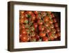 France, Centre, Chatillon Sur Loire. Fresh Vine Tomatoes at Market-Kevin Oke-Framed Photographic Print