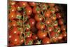 France, Centre, Chatillon Sur Loire. Fresh Vine Tomatoes at Market-Kevin Oke-Mounted Photographic Print
