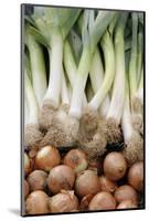 France, Centre, Chatillon Sur Loire. Onions and Leeks at Farmer Market-Kevin Oke-Mounted Photographic Print