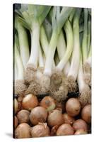 France, Centre, Chatillon Sur Loire. Onions and Leeks at Farmer Market-Kevin Oke-Stretched Canvas