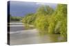 France, Centre, Chatillon Sur Loire. Spring Trees by the Loire River-Kevin Oke-Stretched Canvas