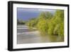 France, Centre, Chatillon Sur Loire. Spring Trees by the Loire River-Kevin Oke-Framed Photographic Print