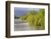 France, Centre, Chatillon Sur Loire. Spring Trees by the Loire River-Kevin Oke-Framed Photographic Print