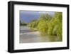 France, Centre, Chatillon Sur Loire. Spring Trees by the Loire River-Kevin Oke-Framed Photographic Print