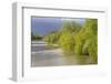 France, Centre, Chatillon Sur Loire. Spring Trees by the Loire River-Kevin Oke-Framed Photographic Print