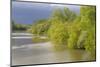 France, Centre, Chatillon Sur Loire. Spring Trees by the Loire River-Kevin Oke-Mounted Photographic Print