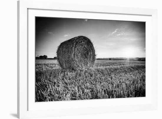 France, Centre Region, Indre-Et-Loire, Sainte Maure De Touraine, Straw Bale in Field-Alan Copson-Framed Photographic Print