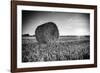 France, Centre Region, Indre-Et-Loire, Sainte Maure De Touraine, Straw Bale in Field-Alan Copson-Framed Photographic Print