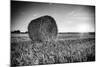 France, Centre Region, Indre-Et-Loire, Sainte Maure De Touraine, Straw Bale in Field-Alan Copson-Mounted Photographic Print