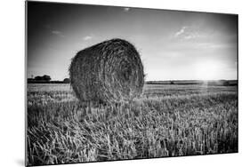 France, Centre Region, Indre-Et-Loire, Sainte Maure De Touraine, Straw Bale in Field-Alan Copson-Mounted Photographic Print