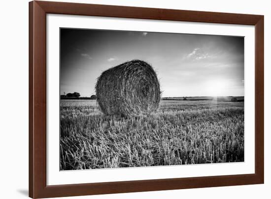 France, Centre Region, Indre-Et-Loire, Sainte Maure De Touraine, Straw Bale in Field-Alan Copson-Framed Photographic Print