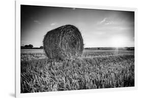 France, Centre Region, Indre-Et-Loire, Sainte Maure De Touraine, Straw Bale in Field-Alan Copson-Framed Photographic Print