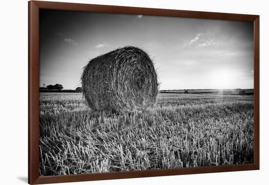 France, Centre Region, Indre-Et-Loire, Sainte Maure De Touraine, Straw Bale in Field-Alan Copson-Framed Photographic Print