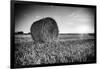 France, Centre Region, Indre-Et-Loire, Sainte Maure De Touraine, Straw Bale in Field-Alan Copson-Framed Photographic Print