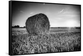 France, Centre Region, Indre-Et-Loire, Sainte Maure De Touraine, Straw Bale in Field-Alan Copson-Framed Stretched Canvas