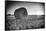 France, Centre Region, Indre-Et-Loire, Sainte Maure De Touraine, Straw Bale in Field-Alan Copson-Framed Stretched Canvas