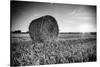 France, Centre Region, Indre-Et-Loire, Sainte Maure De Touraine, Straw Bale in Field-Alan Copson-Stretched Canvas