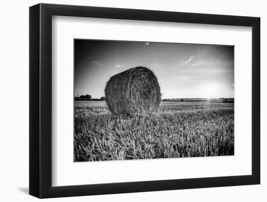 France, Centre Region, Indre-Et-Loire, Sainte Maure De Touraine, Straw Bale in Field-Alan Copson-Framed Photographic Print