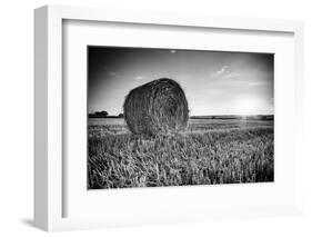 France, Centre Region, Indre-Et-Loire, Sainte Maure De Touraine, Straw Bale in Field-Alan Copson-Framed Photographic Print