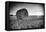 France, Centre Region, Indre-Et-Loire, Sainte Maure De Touraine, Straw Bale in Field-Alan Copson-Framed Stretched Canvas