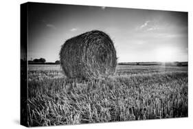 France, Centre Region, Indre-Et-Loire, Sainte Maure De Touraine, Straw Bale in Field-Alan Copson-Stretched Canvas