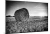 France, Centre Region, Indre-Et-Loire, Sainte Maure De Touraine, Straw Bale in Field-Alan Copson-Mounted Premium Photographic Print