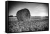 France, Centre Region, Indre-Et-Loire, Sainte Maure De Touraine, Straw Bale in Field-Alan Copson-Framed Stretched Canvas