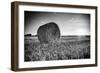 France, Centre Region, Indre-Et-Loire, Sainte Maure De Touraine, Straw Bale in Field-Alan Copson-Framed Photographic Print