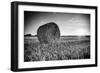 France, Centre Region, Indre-Et-Loire, Sainte Maure De Touraine, Straw Bale in Field-Alan Copson-Framed Photographic Print