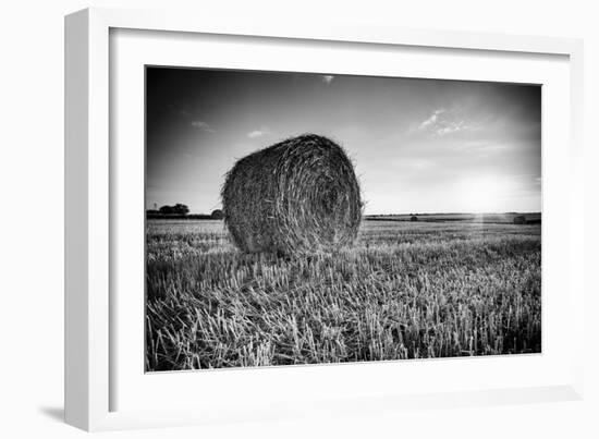 France, Centre Region, Indre-Et-Loire, Sainte Maure De Touraine, Straw Bale in Field-Alan Copson-Framed Photographic Print