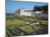 France, Centre, Villandry Castle, View with Renowned 16th Century French Gardens-null-Mounted Giclee Print