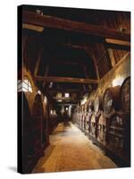 France, Chateau De Breuil-En-Auge, Ageing Calvados Barrels in Old Stables-null-Stretched Canvas