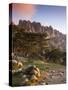 France, Corsica, Corse-Du-Sud Department, La Alta Rocca Region, Col De Bavella Pass, Aiguilles De B-Walter Bibikow-Stretched Canvas